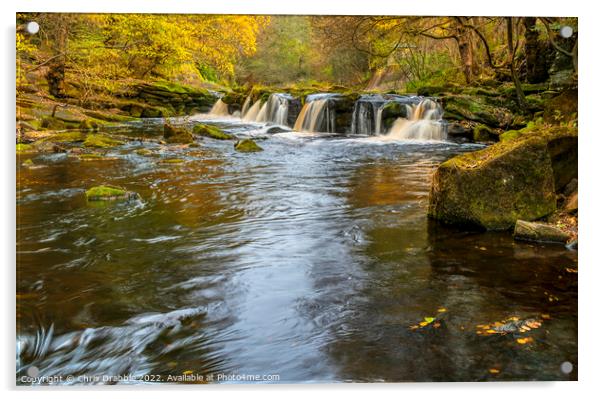 Yorkshire Bridge Waterfall in Autumn Acrylic by Chris Drabble