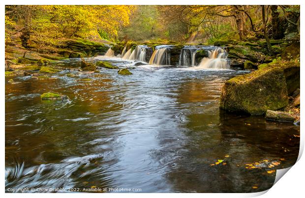 Yorkshire Bridge Waterfall in Autumn Print by Chris Drabble