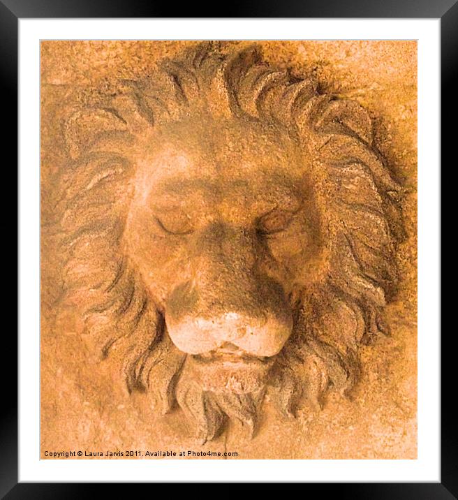 Serene Lion Framed Mounted Print by Laura Jarvis