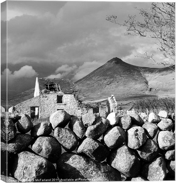 Mourne Rock Canvas Print by David McFarland