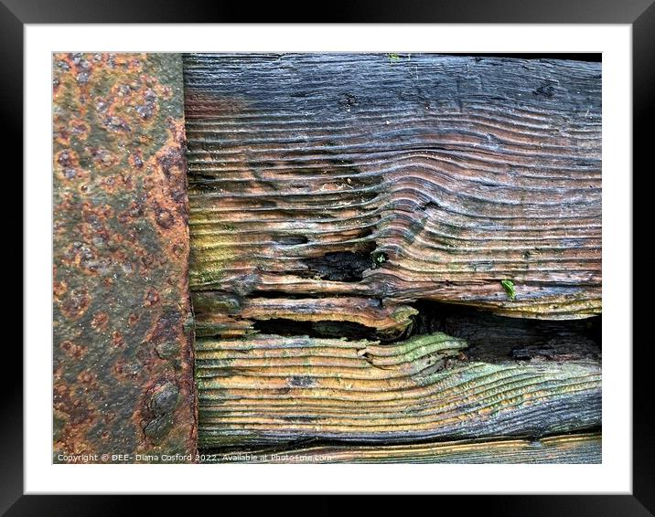 Timber Times 41                        Framed Mounted Print by DEE- Diana Cosford