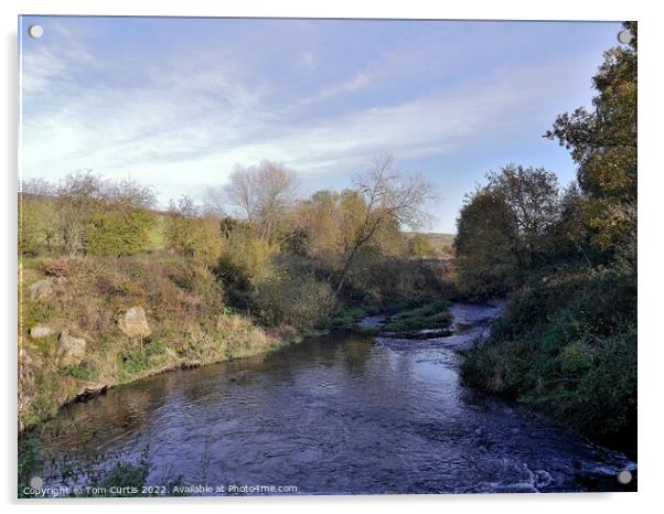 River Dearne Cudworth Acrylic by Tom Curtis