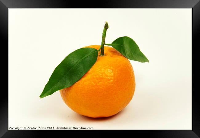 Orange tangerine or mandarin with leaves isolated on off white Framed Print by Gordon Dixon
