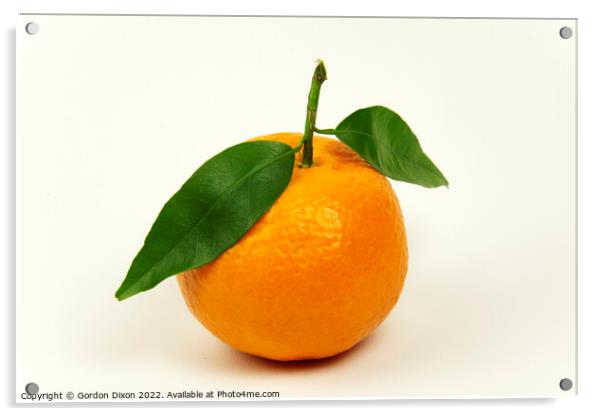 Orange tangerine or mandarin with leaves isolated on off white Acrylic by Gordon Dixon