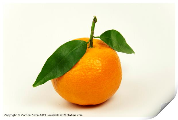 Orange tangerine or mandarin with leaves isolated on off white Print by Gordon Dixon