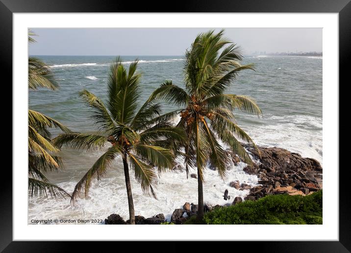 Coconut laden palms at the water's edge near Colombo, Sri Lanka Framed Mounted Print by Gordon Dixon