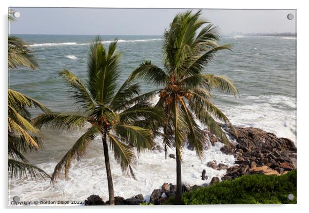 Coconut laden palms at the water's edge near Colombo, Sri Lanka Acrylic by Gordon Dixon