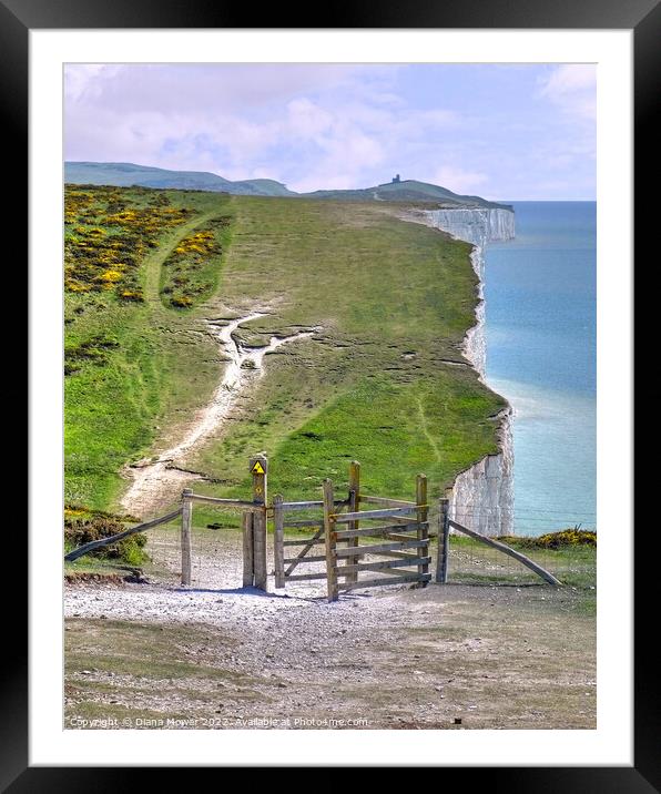 Seven Sisters Cliff Walk Framed Mounted Print by Diana Mower