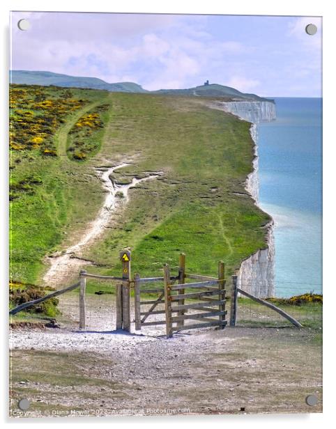 Seven Sisters Cliff Walk Acrylic by Diana Mower
