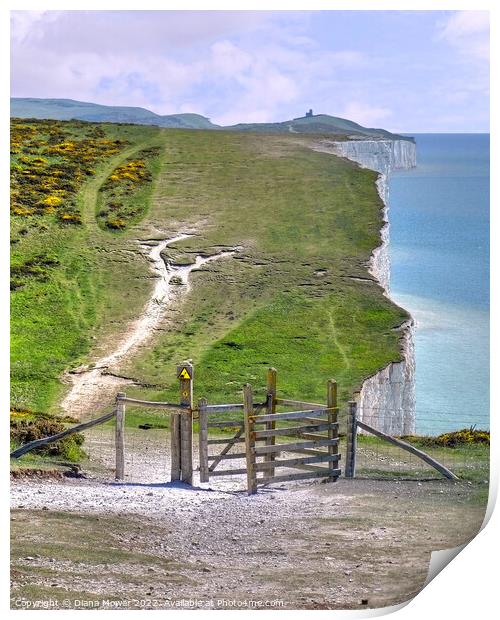 Seven Sisters Cliff Walk Print by Diana Mower