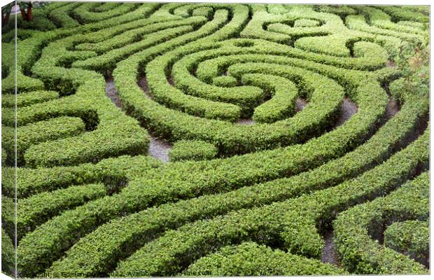 Maze formed from low hedges in a courtyard garden, Kuala Lumpur, Malaysia Canvas Print by Gordon Dixon