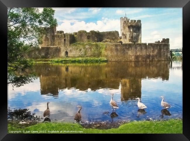 The Castle Geese Framed Print by Ian Lewis