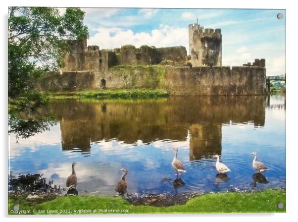 The Castle Geese Acrylic by Ian Lewis