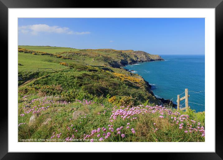Spring Flowers on the coast path in Pembrokeshire Framed Mounted Print by Chris Warren