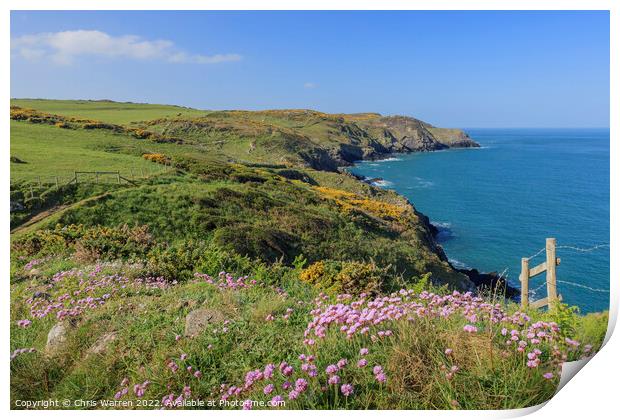 Spring Flowers on the coast path in Pembrokeshire Print by Chris Warren