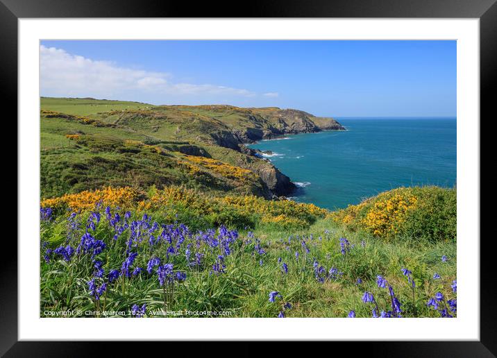 Spring Flowers on the coast path in Pembrokeshire Framed Mounted Print by Chris Warren