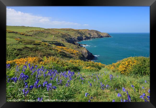 Spring Flowers on the coast path in Pembrokeshire Framed Print by Chris Warren