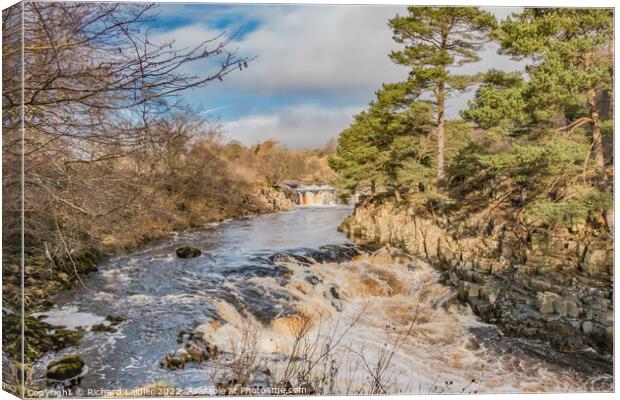 Low Force Waterfall, Teesdale, in Late Winter Sunshine Canvas Print by Richard Laidler