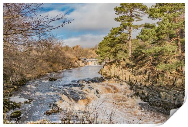 Low Force Waterfall, Teesdale, in Late Winter Sunshine Print by Richard Laidler