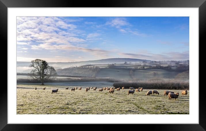 Tamar Valley View Framed Mounted Print by Maggie McCall