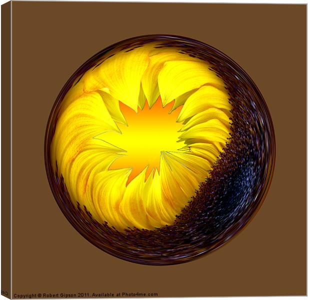 Spherical Paperweight sunflower Canvas Print by Robert Gipson
