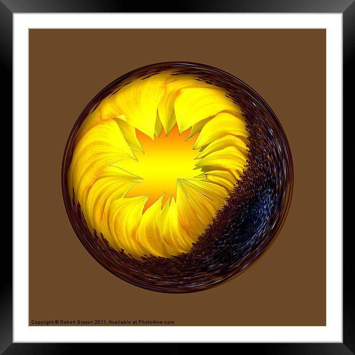 Spherical Paperweight sunflower Framed Mounted Print by Robert Gipson