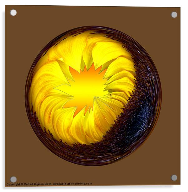 Spherical Paperweight sunflower Acrylic by Robert Gipson