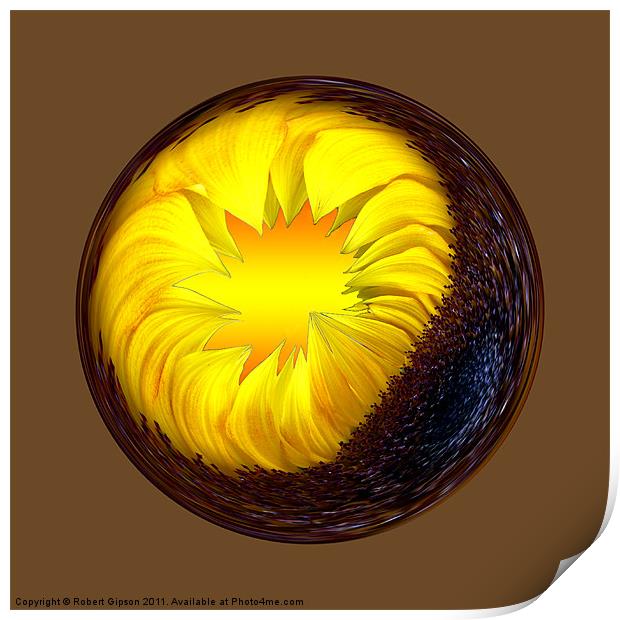 Spherical Paperweight sunflower Print by Robert Gipson