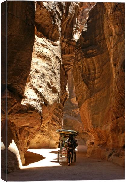 Donkey carriage in the Siq at Petra. Canvas Print by David Birchall