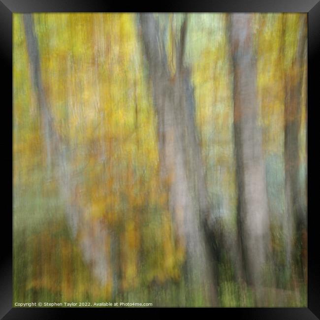 Autumn Motion Framed Print by Stephen Taylor