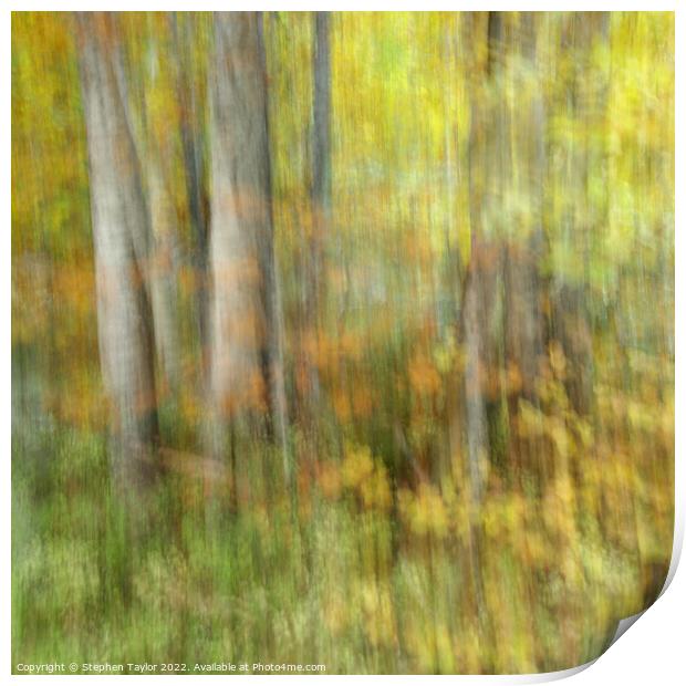 Autumn Motion Print by Stephen Taylor