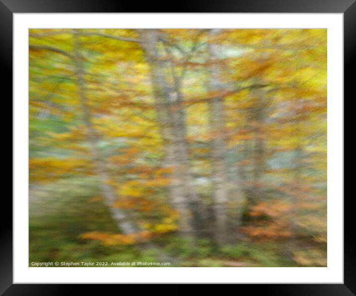 Autumn Motion Framed Mounted Print by Stephen Taylor