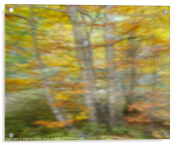Autumn Motion Acrylic by Stephen Taylor
