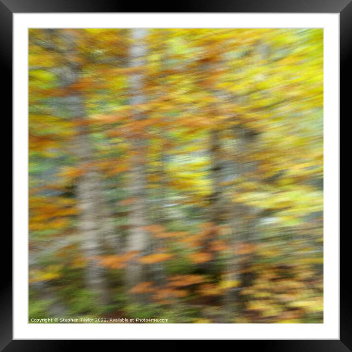 Autumn Motion Framed Mounted Print by Stephen Taylor