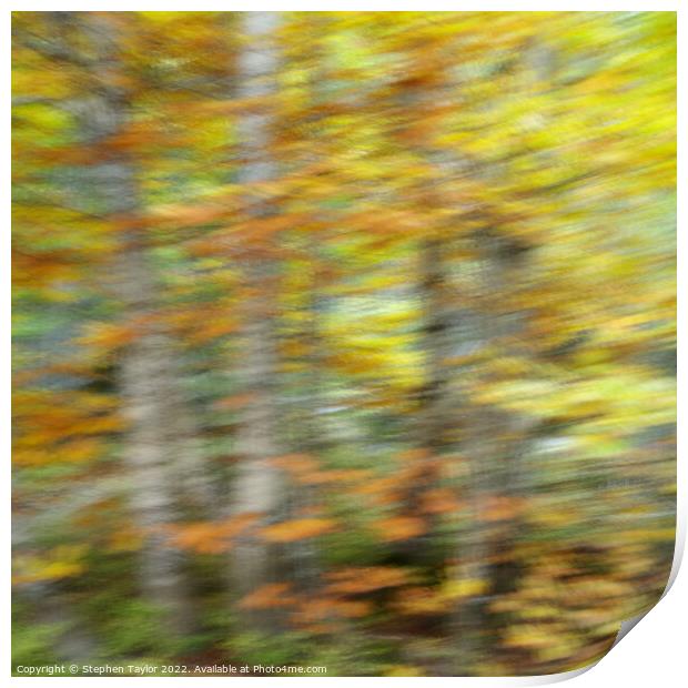 Autumn Motion Print by Stephen Taylor