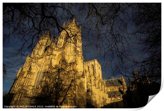 York Minster in the sunset 678 Print by PHILIP CHALK
