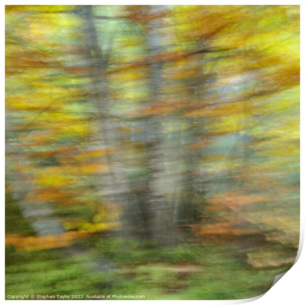 Autumn Motion Print by Stephen Taylor