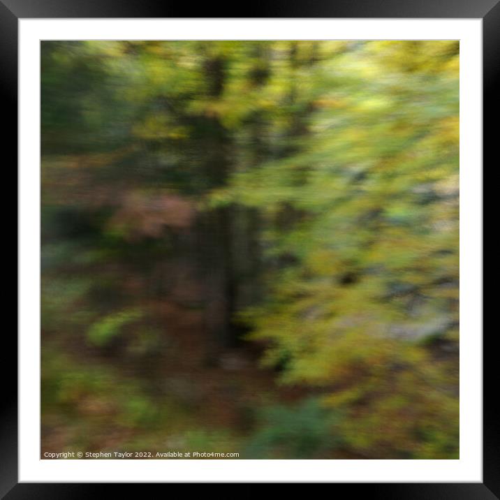 Woodland ICM  Framed Mounted Print by Stephen Taylor