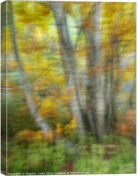 Autumn colours ICM  Canvas Print by Stephen Taylor