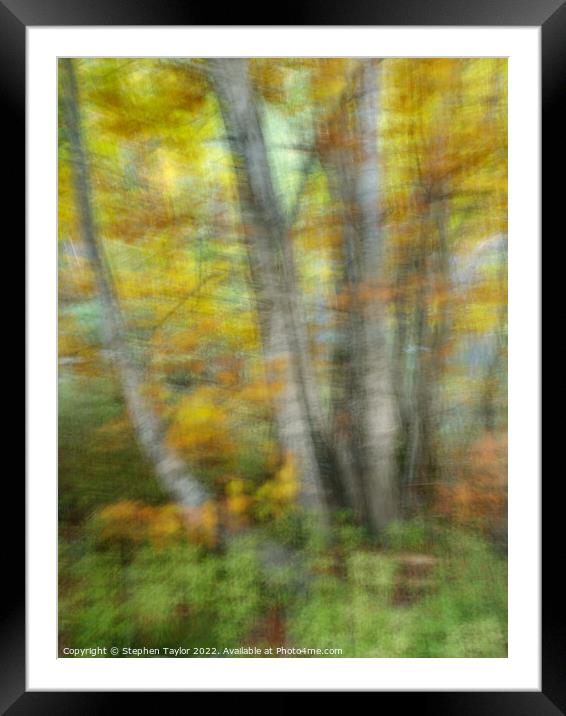 Autumn colours ICM  Framed Mounted Print by Stephen Taylor
