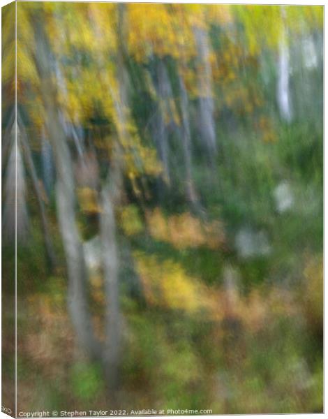 Autumn Motion Canvas Print by Stephen Taylor