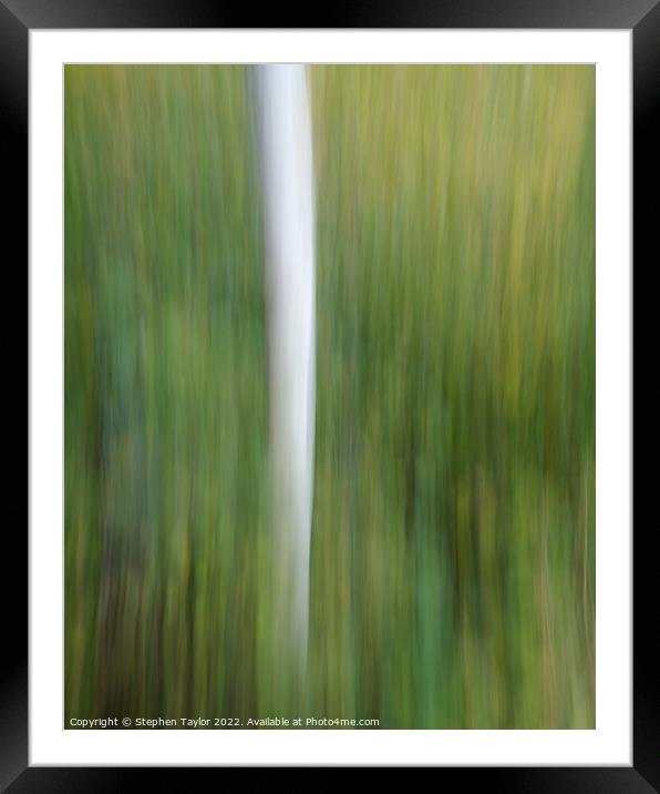 Tree ICM Framed Mounted Print by Stephen Taylor