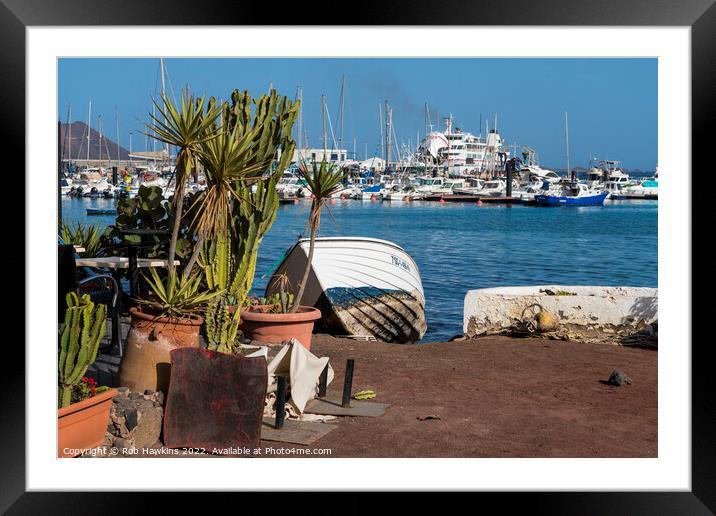 Cactus and Boats  Framed Mounted Print by Rob Hawkins