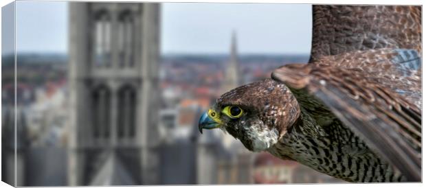 Peregrine Falcon in Flight over City Canvas Print by Arterra 