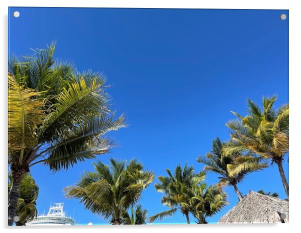 Palm trees In the blue sky Acrylic by Harvey Watson