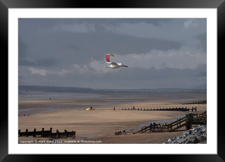 Where Seagulls Dare Framed Mounted Print by Mark Ward