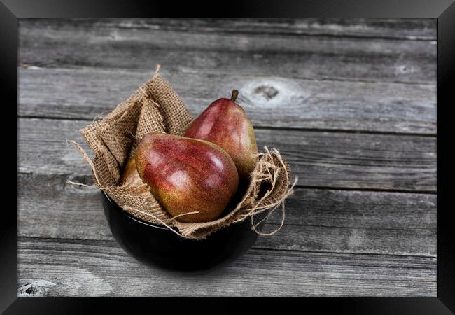 Raw whole pears inside of bowl on aged wooden table in close up  Framed Print by Thomas Baker