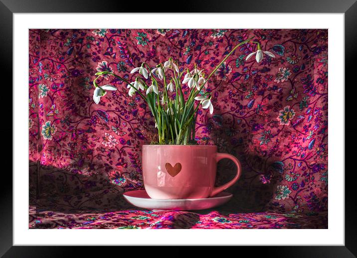 Snowdrops In A Cup Framed Mounted Print by Alison Chambers