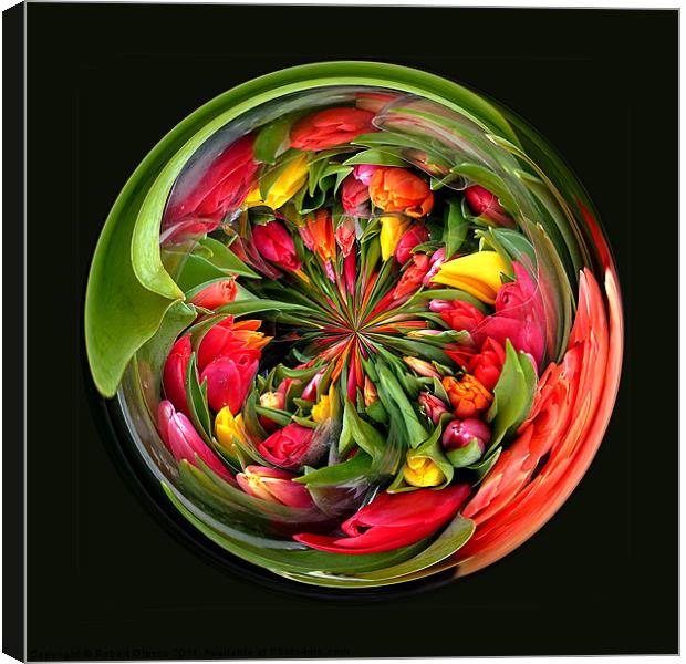 Spherical Glass Paperweight Tulips 4U Canvas Print by Robert Gipson