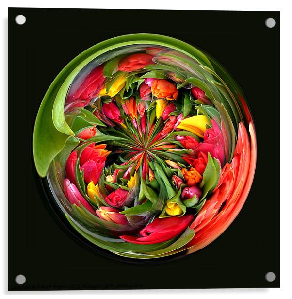 Spherical Glass Paperweight Tulips 4U Acrylic by Robert Gipson